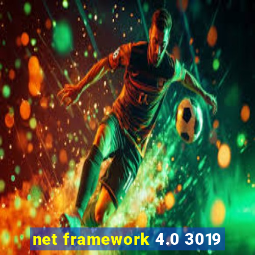 net framework 4.0 3019